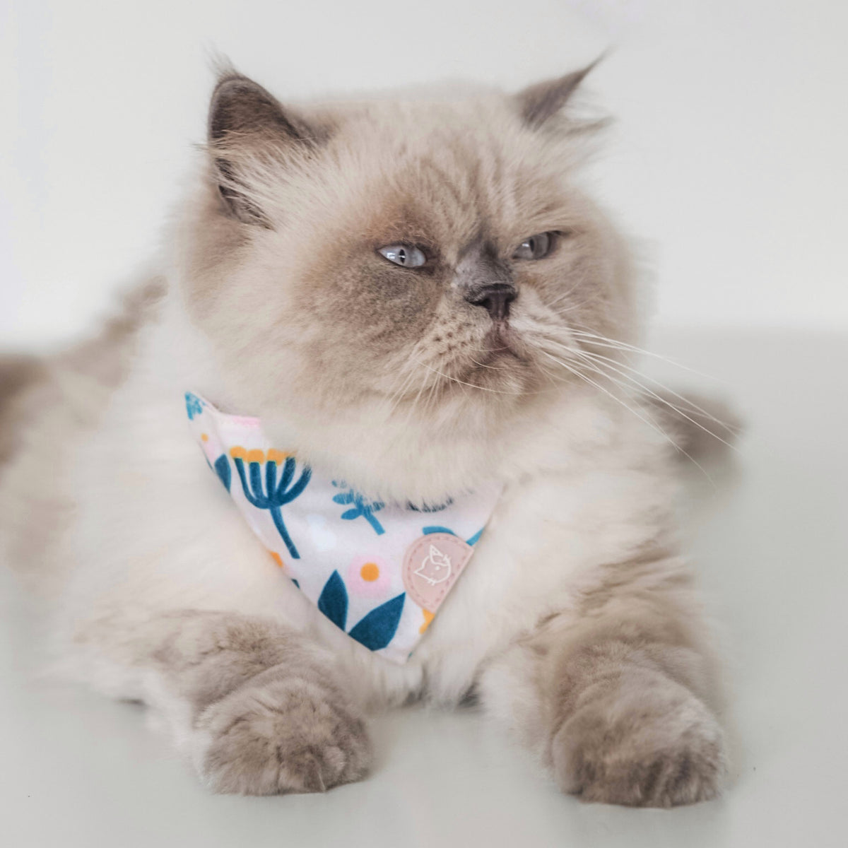 Gentle Purr Cat MökkiChief - Scandi Spring
