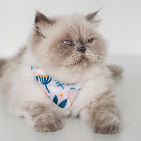 Gentle Purr Cat MökkiChief - Scandi Spring