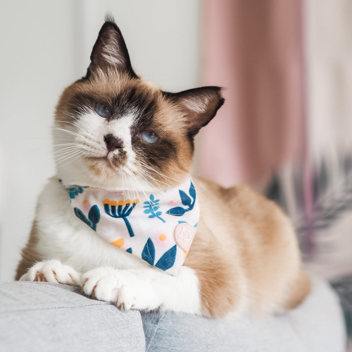 Gentle Purr Cat MökkiChief - Scandi Spring