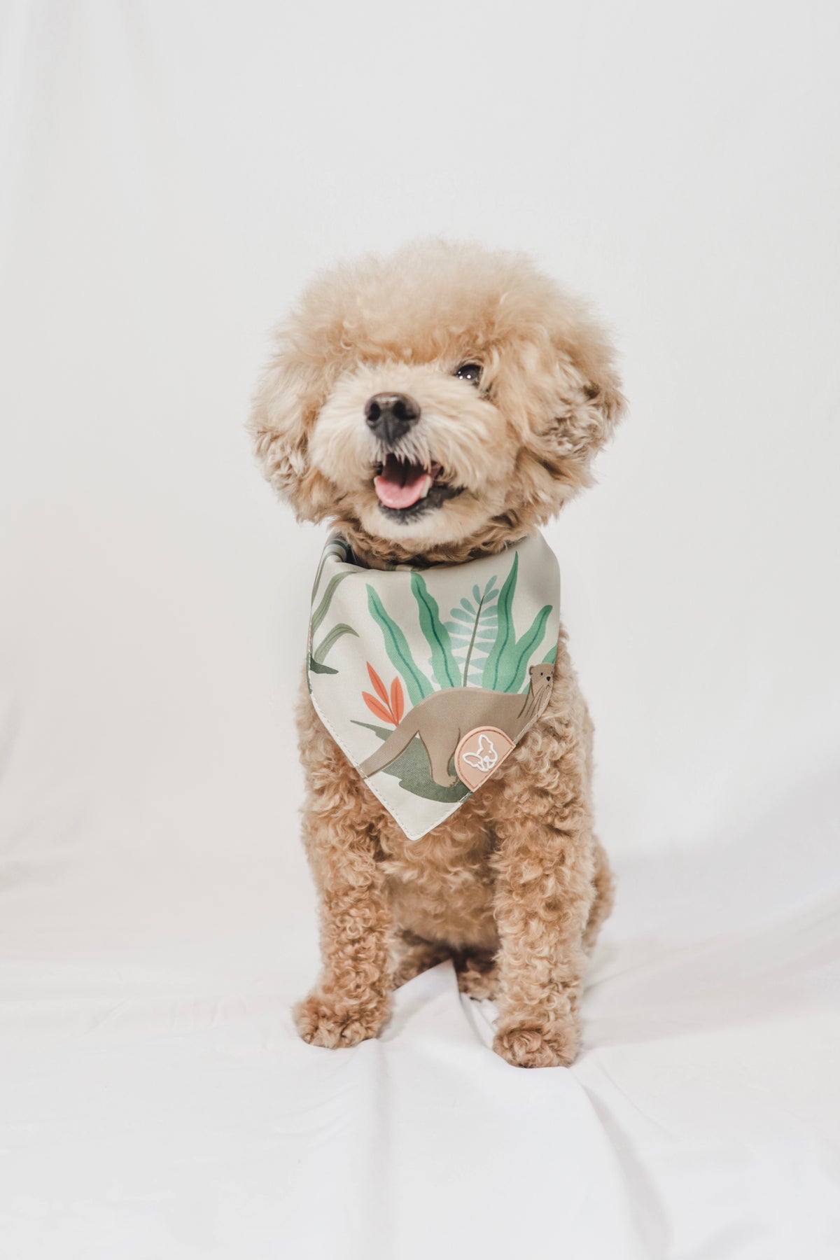 Gentle Pup Bandana - Otterly in Love