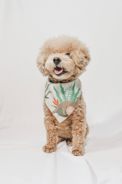 Gentle Pup Bandana - Otterly in Love