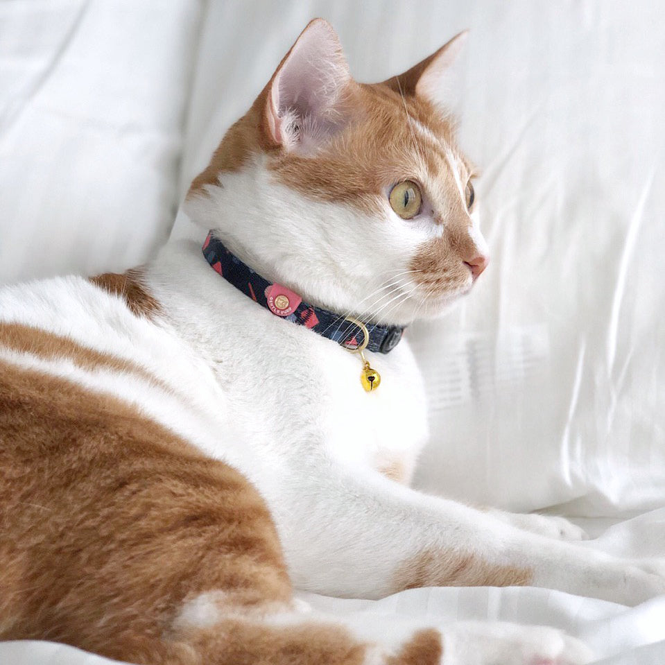 Gentle Purr Cat Collar - Playful Polly