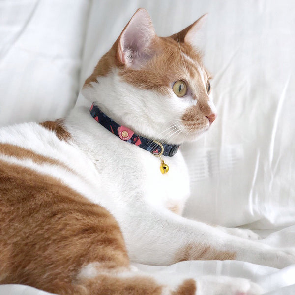 Gentle Purr Cat Collar - Playful Polly