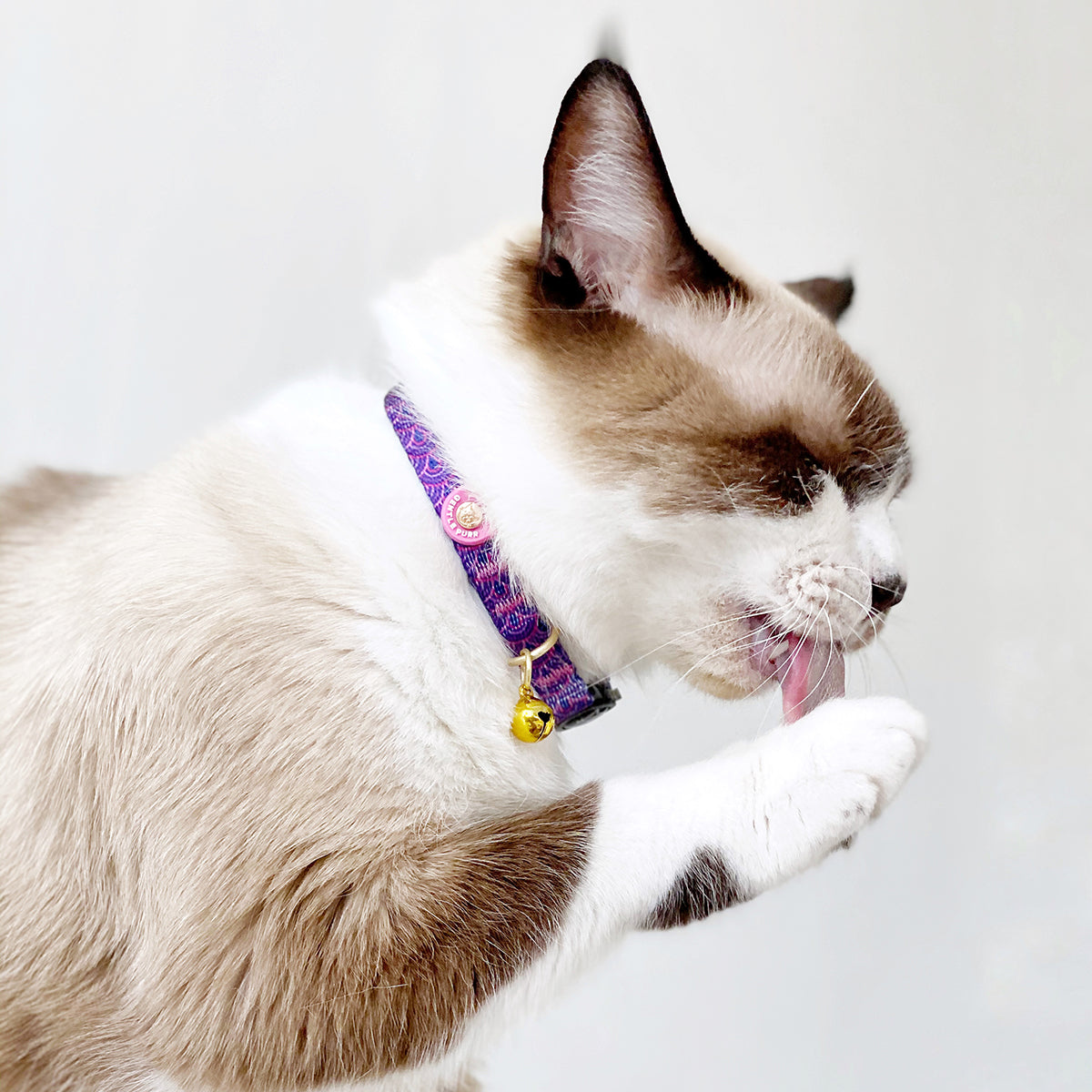 Gentle Purr Cat Collar - Piper Pink