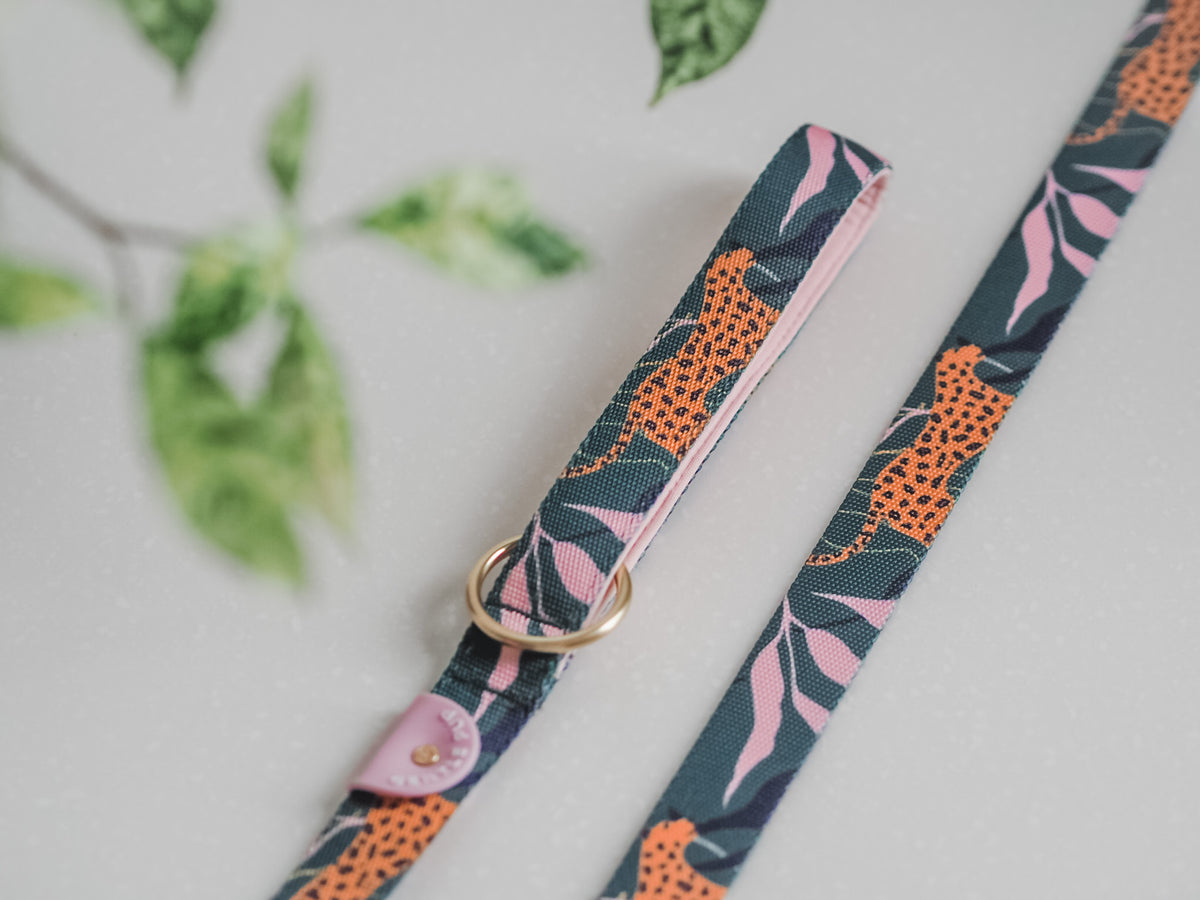 Gentle Pup Leash - Coco Congo