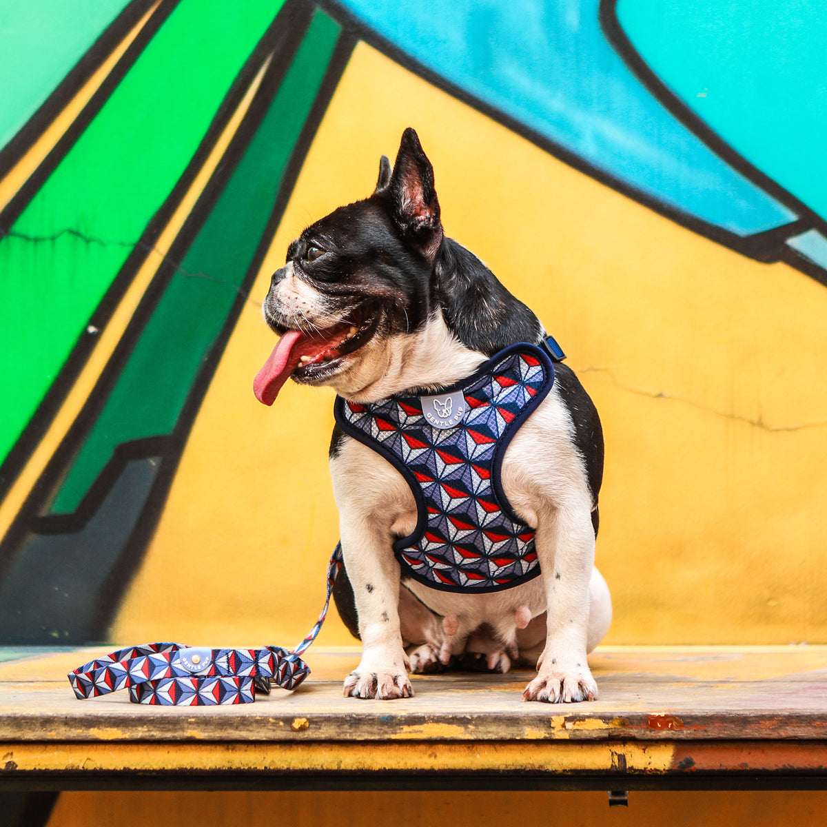 Gentle Pup Easy Harness - Dashing Diamond
