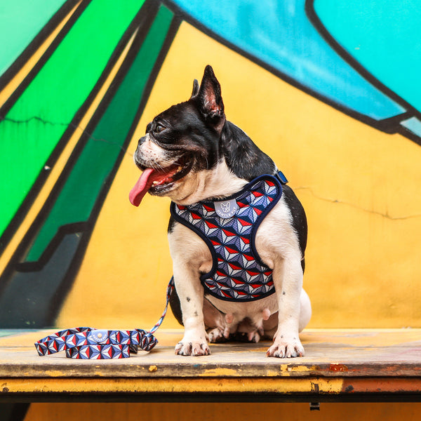 Gentle Pup Easy Harness - Dashing Diamond