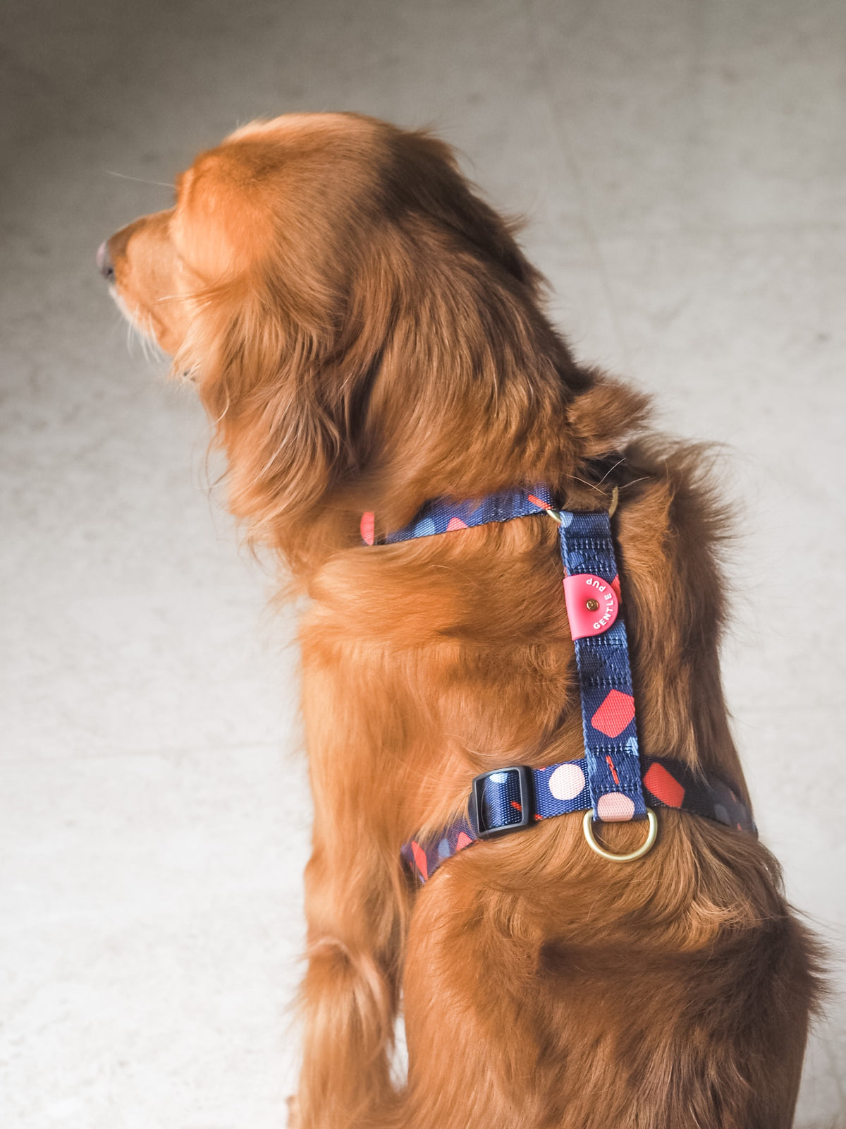 Gentle Pup Maxi Harness - Playful Polly