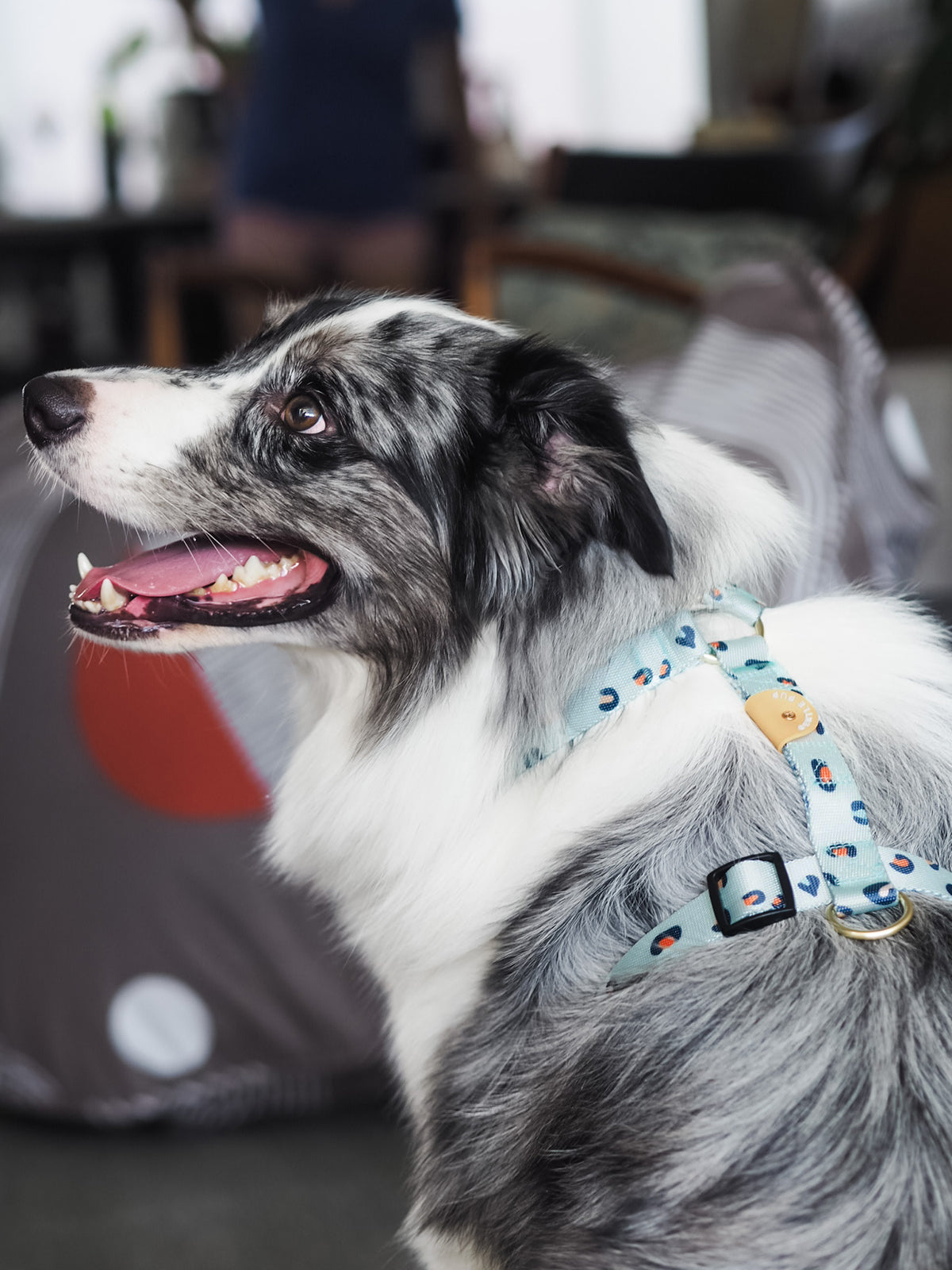 Gentle Pup Maxi Harness - Baby BamBam