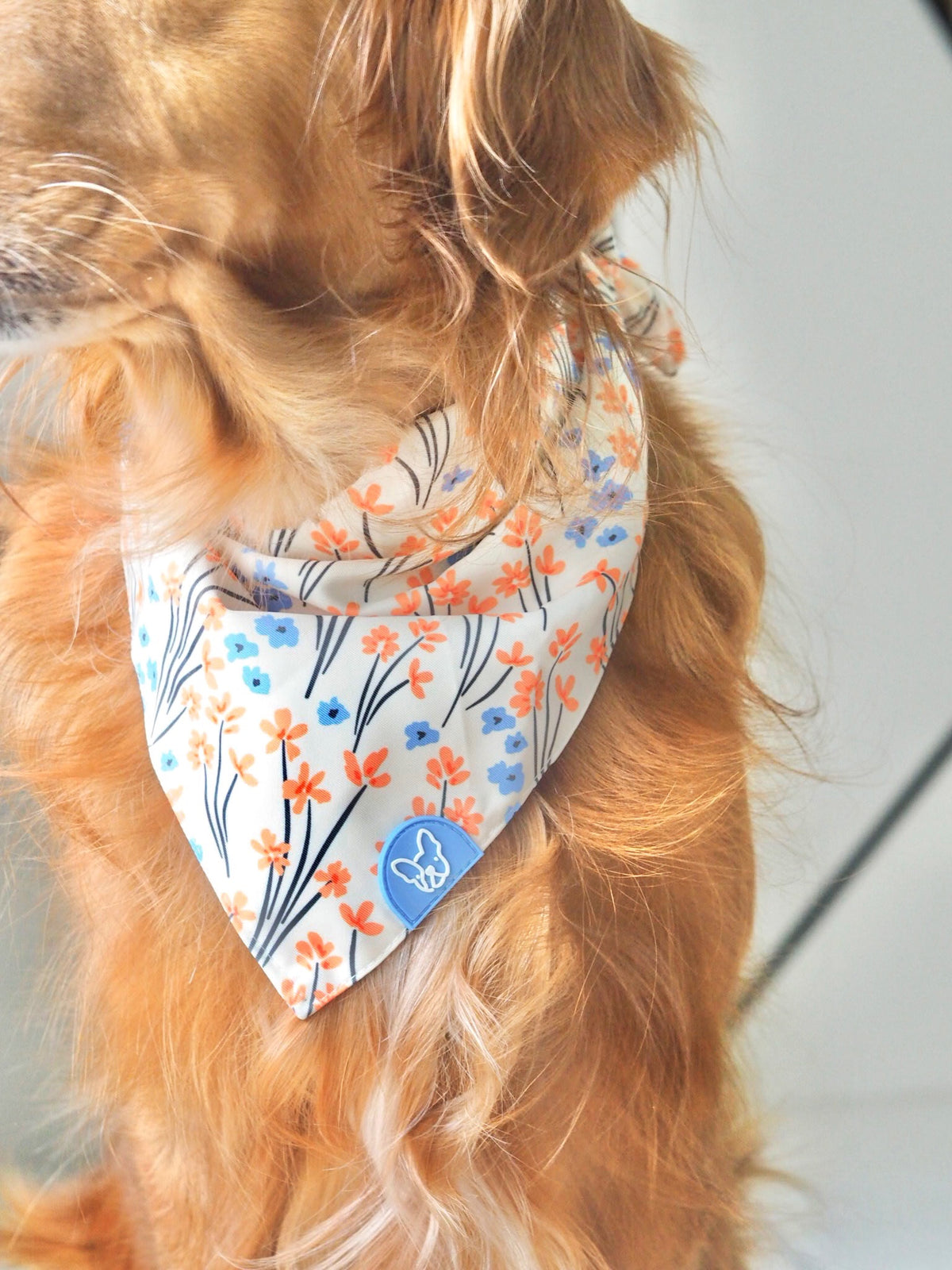 Gentle Pup Bandana - Peppy Poppy