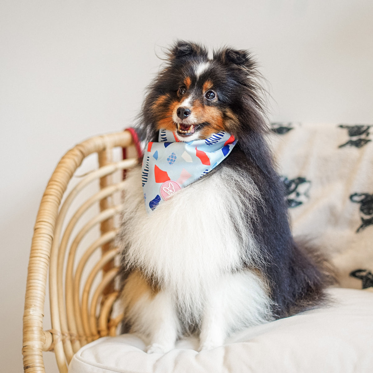 Gentle Pup Bandana - Bubbly Bay