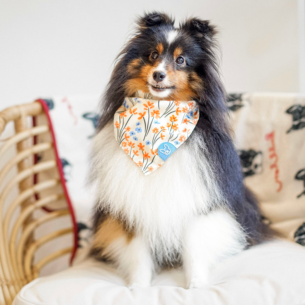 Gentle Pup Bandana - Peppy Poppy
