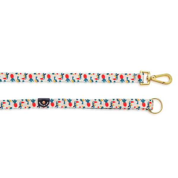 Gentle Pup Leash - Aloha Alice