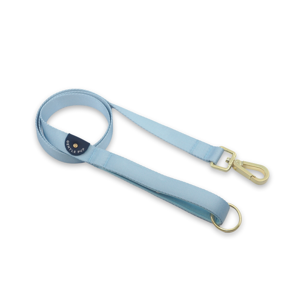 Gentle Pup Leash - Cornflower