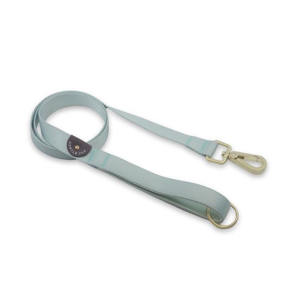 Gentle Pup Leash - Pistachio