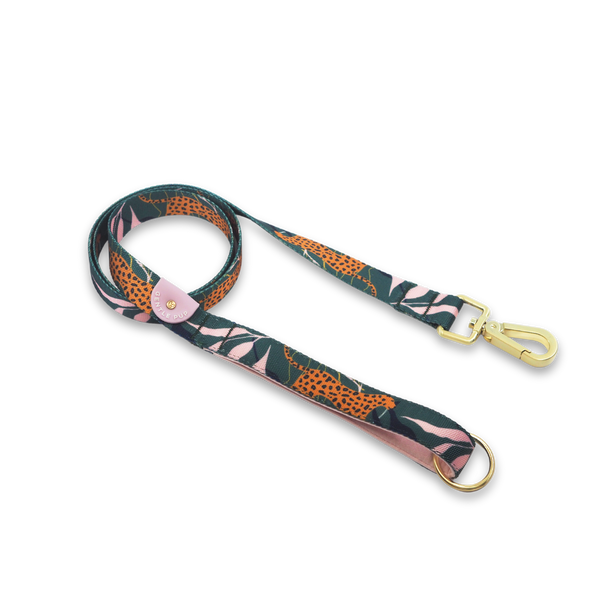 Gentle Pup Leash - Coco Congo
