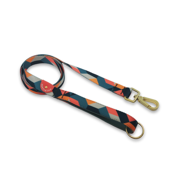 Gentle Pup Leash - Razzle Dazzle