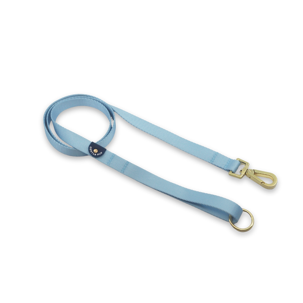 Gentle Pup Leash - Cornflower