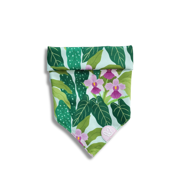 Gentle Pup Bandana - Little Miss Vanda