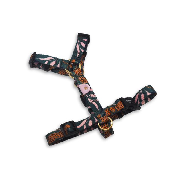 Gentle Pup Maxi Harness - Coco Congo