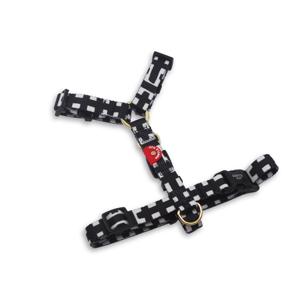 Gentle Pup Maxi Harness - Lucky Lotto