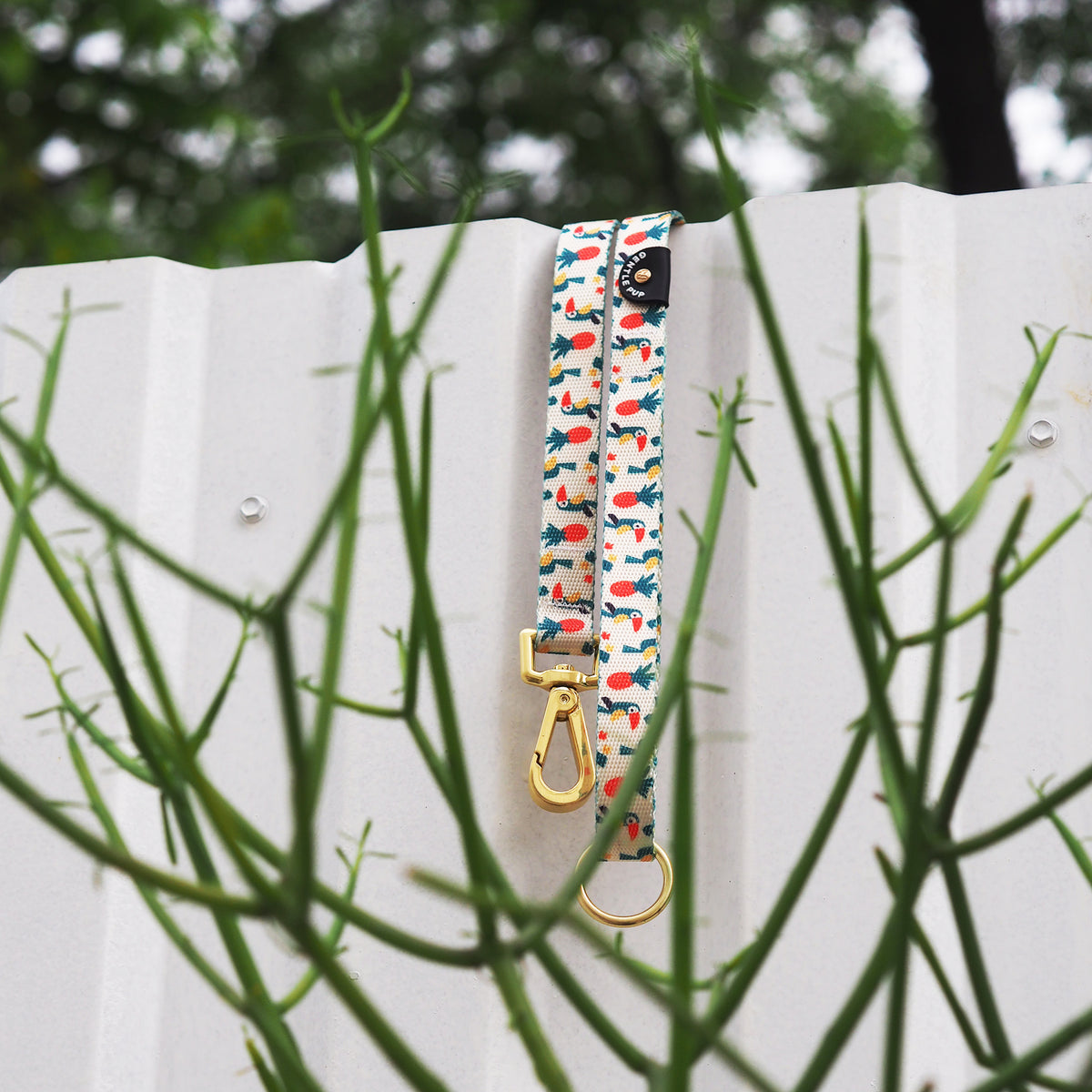 Gentle Pup Leash - Aloha Alice