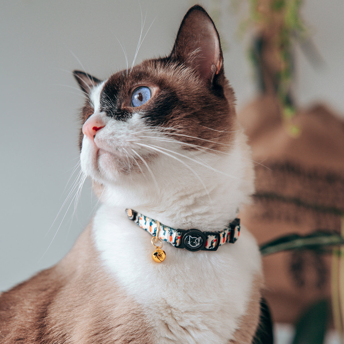 Gentle Purr Cat Collar - Aloha Alice