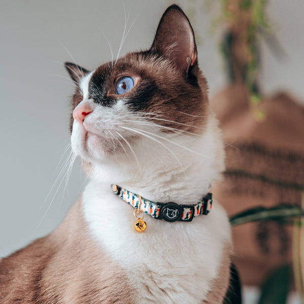 Gentle Purr Cat Collar - Aloha Alice