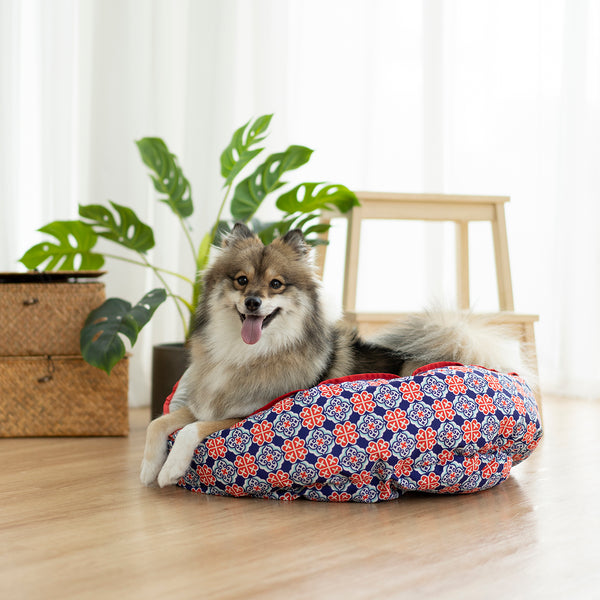 Ohpopdog Reversible Bed - Royal Blue 150