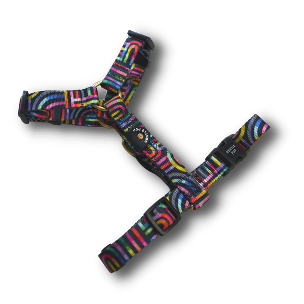 Gentle Pup Maxi Harness - Rainbow Maze