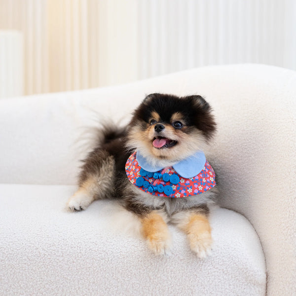 Ohpopdog Strawberry Liberty Cape
