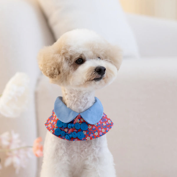 Ohpopdog Strawberry Liberty Cape
