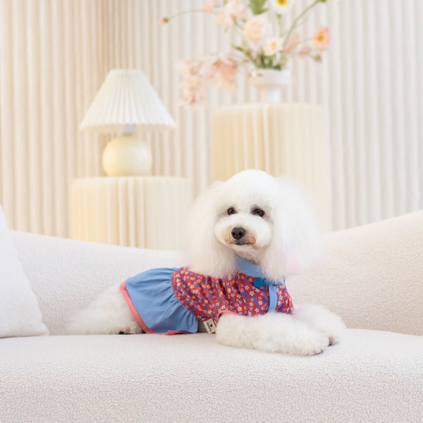 Ohpopdog Strawberry Liberty Dress