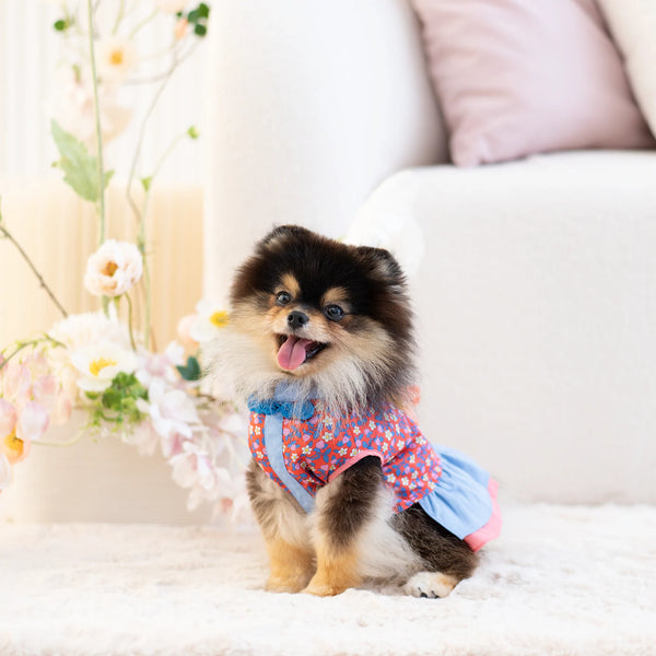 Ohpopdog Strawberry Liberty Dress
