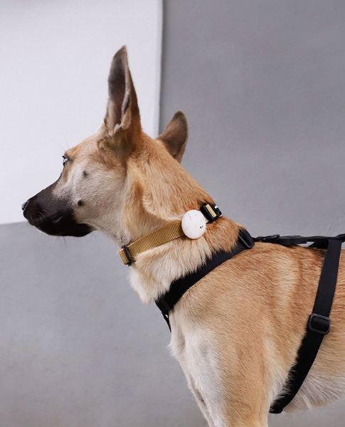 Zee Dog AirTag Holder