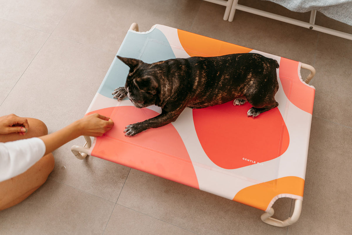 Gentle Pup Happy Camper Hammock - Candy Callie