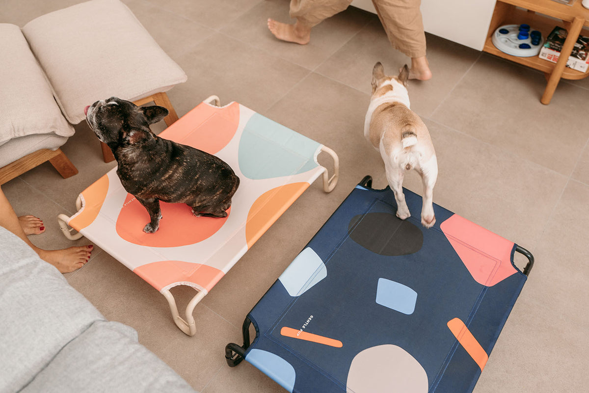 Gentle Pup Happy Camper Hammock - Playful Polly