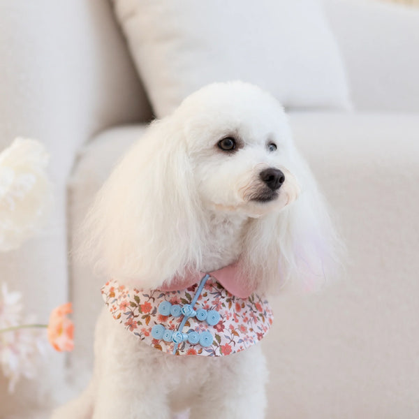 Ohpopdog Wildflower Liberty Cape