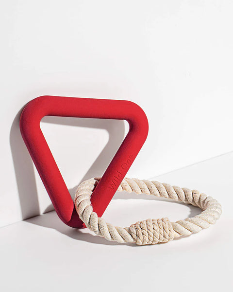 Wild One Triangle Tug Toy