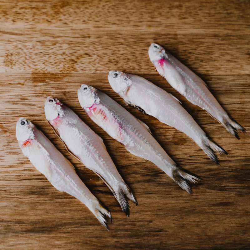 PAWFF Frozen Raw Anchovies