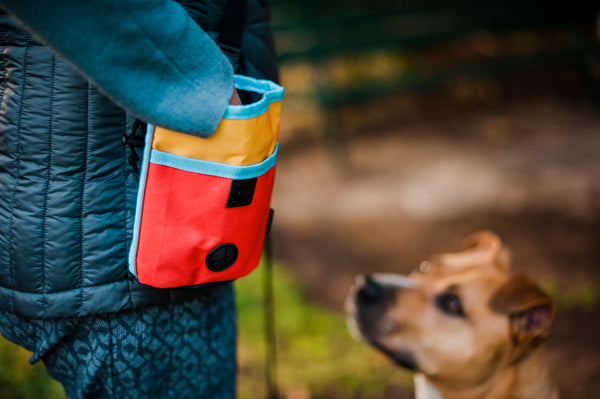 P.L.A.Y. Deluxe Training Pouch - Sunrise
