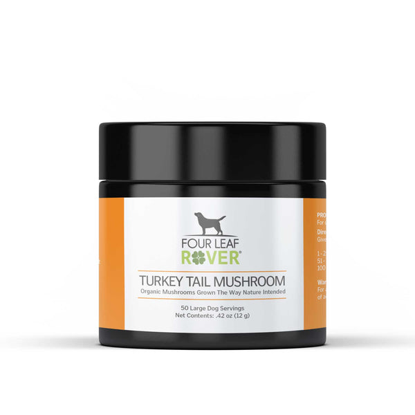 Four Leaf Rover Turkey Tail Mushroom Extract